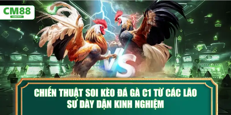 Chiến thuật soi kèo đá gà C1 từ các lão sư dày dặn kinh nghiệm